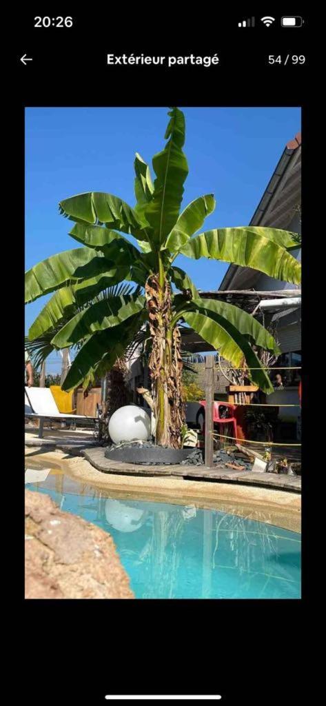 A La Marc'Quize Chambres D'Hotes, Petit Dejeuner Compris, Avec Piscine A Debordement En Exterieur, Bain Nordique A 38 Degres En Prestation Supplement Sur Reservation Horaire Anticipee 1 Place De Parking Gratuite Sur Place Mouxy Exterior photo